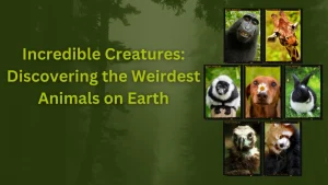 Read more about the article Incredible Creatures: Discovering The Weirdest Animals on Earth